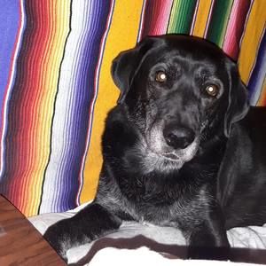 Meet your Posher, Lee